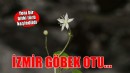 İzmir'de yeni bir bitki türü keşfedildi
