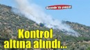 İzmir'de zeytinlik ve makilik alanda çıkan yangın kontrol altında