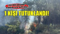 İzmir'deki orman yangınına tutuklama!