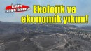 İzmir'deki yangınlar ekonomik ve ekolojik yıkım getirdi!