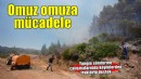 İzmir'deki yangınlarda köylüler, ekiplerle omuz omuza mücadele ediyor
