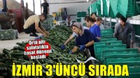 İzmir, örtü altı salatalık üretiminde 3'üncü sırada