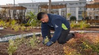 İzmir yaza çiçek açarak hazırlanıyor