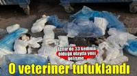 İzmir’de 33 kedinin ölü bulunduğu olayda yeniden gözaltına alınan veteriner tutuklandı