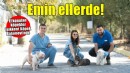 İzmir’de el konulan 20 cins köpek Işıkkent Köpek Bakımevi’nde