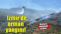İzmir’de orman yangını