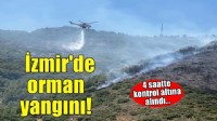 İzmir’de orman yangını