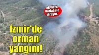 İzmir’de orman yangını