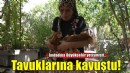 İzmir’deki yangından kurtarılan tavuklarına kavuştu