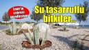 İzmir’in çehresi su tasarruflu bitkilerle güzelleşiyor