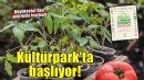 İzmir’in ilk Balkon ve Bahçe Bitkileri Festivali başlıyor