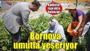 Kadınlar toprakla, Bornova umutla buluşuyor