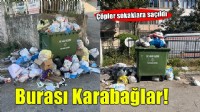 Karabağlar'da yine çöp krizi!