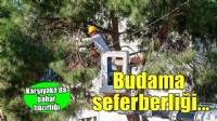 Karşıyaka’da budama seferberliği