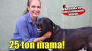 Karşıyaka’da can dostlar için 25 ton mama toplandı