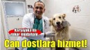 Karşıyaka’da can dostlara kapsamlı hizmet