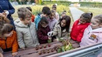 Karşıyaka’da minikler bostanda üretimi deneyimledi