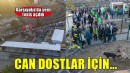 Karşıyaka’da sokak hayvanları için yeni tesis