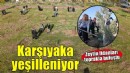 Karşıyaka’da zeytin fidanları toprakla buluştu