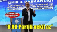 Kasapoğlu: İzmir TBMM'de daha fazla AK Partili vekille temsil edilmeli