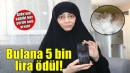 Kaybolan kedisini bulana 5 bin lira ödül verecek