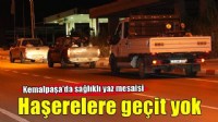 Kemalpaşa'da haşerelere geçit yok