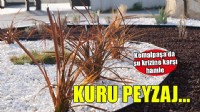 Kemalpaşa'da su krizine karşı çevre dostu peyzaj