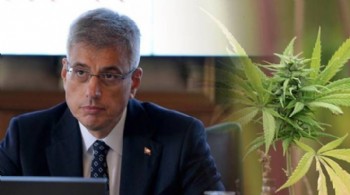 Kenevir hangi hastalara verilecek?