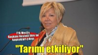 Kestelli: Su kaynaklarının azalması tarımı sert şekilde etkiliyor