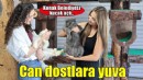 Konak, can dostlarının yanında