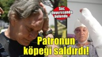 Köpek saldırısına uğrayan kadın korumadan eski patronuna suç duyurusu