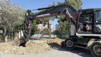 Kuşadası Belediyesi 410 ağacı kesilmekten kurtardı