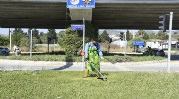 Kuşadası Belediyesi'nden yeşil dokuya titiz dokunuş