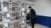 Kuşadası Davutlar Kedi Kısırlaştırma Merkezi binlerce cana umut oldu