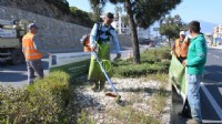 Kuşadası'nda bayram öncesi refüjler bakıma alındı