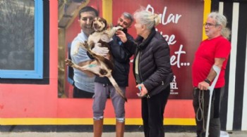 ‘Lady’ sıcak yuvasına kavuştu