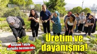 Mahalle bostanlarında üretim ve dayanışma büyüyor