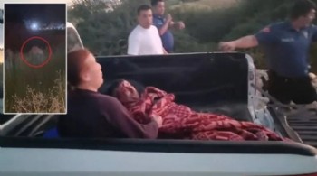 Manavgat'ta aslanın kaçtığı park mühürlendi