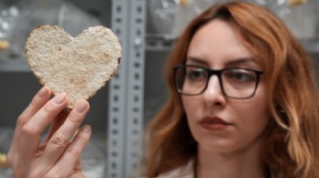 Mantar ve atıklardan çevreci yalıtım malzemesi geliştirildi