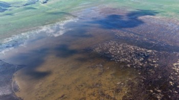 Marmara Gölü 5 yıl sonra su tuttu, çiftçi umutlandı