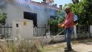 Menderes'te ot temizliği...