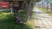 Menderes’te ot seferberliği