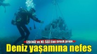 Midye kabukları deniz yaşamına nefes olacak