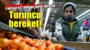Narenciyeden 1 milyar 477 milyon dolar!