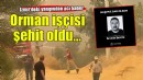 Ödemiş yangınından acı haber.. Orman işçisi şehit oldu!