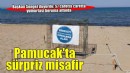Pamucak Sahili’nde sürpriz misafir