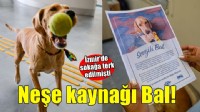 Patili dost Bal, merkezin neşesi oldu