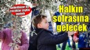 Seferihisar'da çocukların topladığı zeytinler halkın sofrasına gelecek