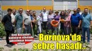 Şehirde toprakla buluşma