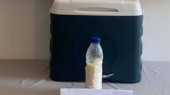 Suriye'den getirmişler... Değeri  milyon dolar!